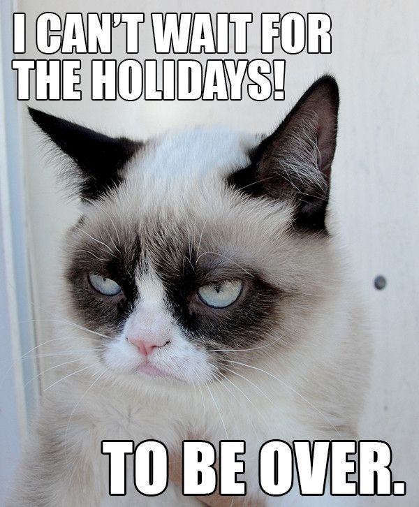 how do i make it through the holidays?