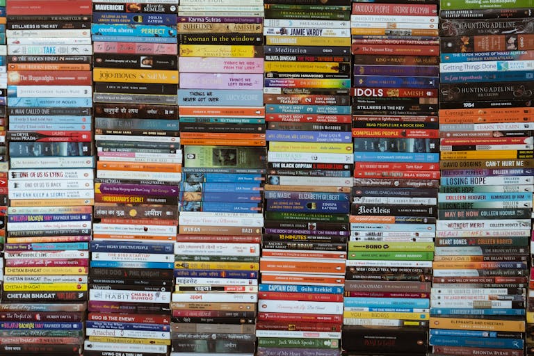 reconciliation books
